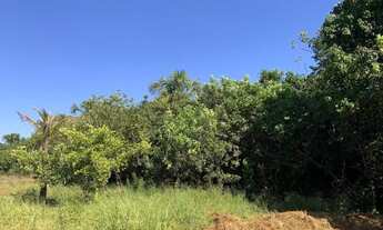 Imagem 4: Chácara 1700m², Tanque e Rego Dágua, Escriturada, Setor das Vertentes, Aragoiânia