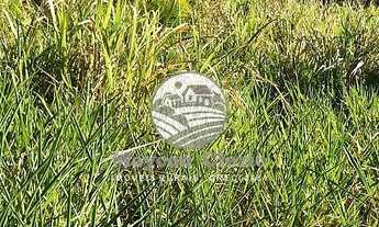 Imagem 2: Ariquemes - Sítio - 18 Alqueires