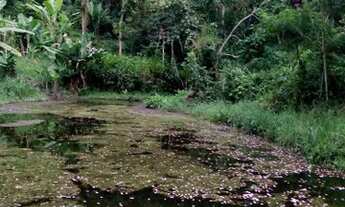 Imagem 3: Sítio em quatinga