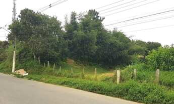 Imagem: Terreno no bairro Ipelândia