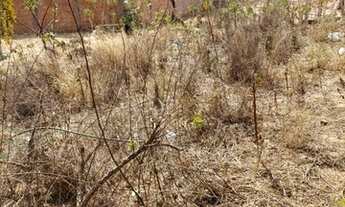 Imagem 2: Atenção Oportunidade Terreno Novo Século