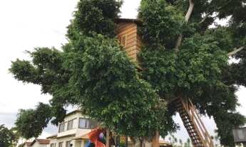 Imagem 5: A Fazenda é as margens da Br 050. Fica a 15 minutos do centro de Uberaba. Da 050 até a s