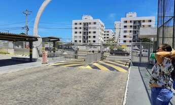 Imagem: Mar de aruana 2