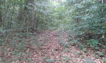 Imagem 6: Chácara de 2 alqueires em Pirenópolis - GO