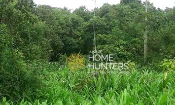 Imagem 6: Terreno comercial e residencial por R$ 2.800.000 - Vila Nova - Joinville/SC