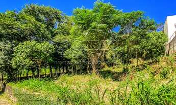 Imagem: FLORIANóPOLIS - Terreno Padrão - Morro
