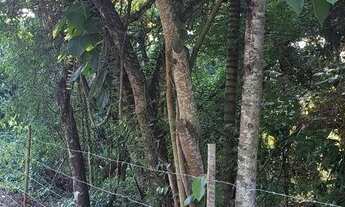 Imagem 2: Área à venda, 9800 m² por R$ 1.100.000,00 - Ribeirão dos Porcos - Atibaia/SP