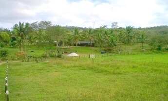 Imagem 4: Fazenda top em Alagoinhas