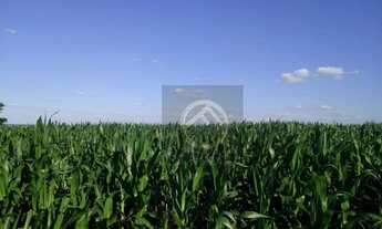 Imagem 2: Fazenda à venda, 1113200 m² - Centro - Capanema/PR