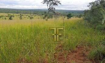 Imagem 5: Fazenda 2.700 Hectares, Paranatinga, MT