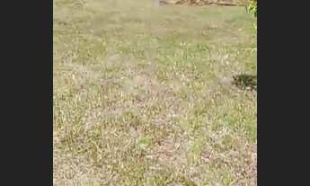 Imagem 5: Terreno à venda, 1700 m² por R$ 135.000,00 - Loteamento Agro Brasil - Cachoeiras de Macacu