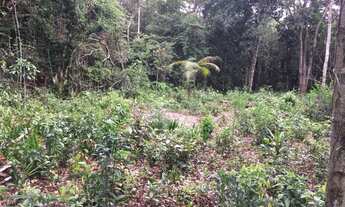 Imagem 2: Vendo Chacara 30x80 ?2400? escriturada e em dia