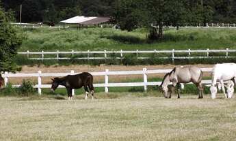Imagem 2: Itu - Haras - Bairro do Jacu
