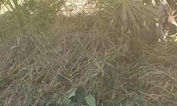 Imagem 7: Ponto comercial Nova Brasilândia D'Oeste