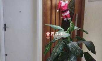 Imagem 5: Apartamento com 1 dormitório à venda, 54 m² por R$ 200.000,00 - Centro - São Vicente/SP