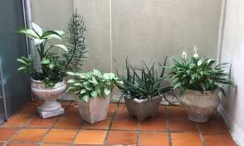 Imagem 5: Apartamento na rua 1500, quadra do mar, no centro de Balneário Camboriu