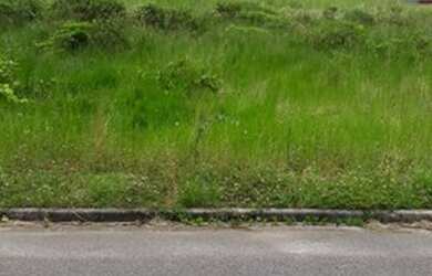 Imagem 2: Lote Regularizado com asfalto iluminação publica após ponte Rio Negro