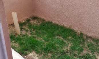 Imagem 4: Santa Luzia - Apartamento Padrão - Monte Carlo