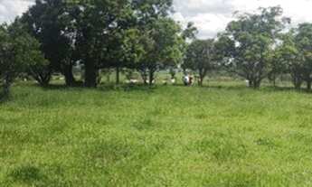 Imagem 7: Fazenda/Sítio/Chácara para venda tem 2649900 metros quadrados em Zona Rural - Tietê - SP