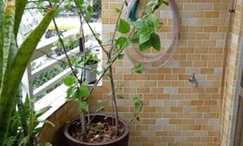 Imagem 3: Apartamento para aluguel tem 90 metros quadrados com 3 quartos em Gonzaga - Santos - SP