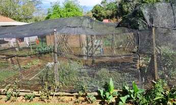 Imagem 6: Chácara Frente Asfalto 4.125 m2 em Travessão - Dois Irmãos - RS