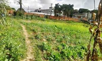Imagem: DIADEMA - Terreno Padrão - Conceicao