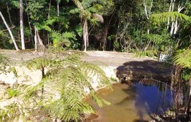 Imagem 6: Sítio em Santa Teresa