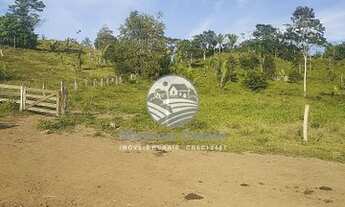 Imagem 4: Jaru - Sítio - Fazenda / sítio com venda por R$3.200.000