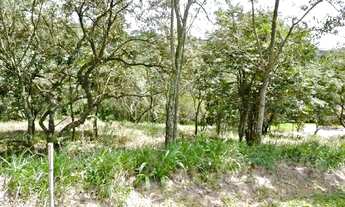 Imagem: Lote/Terreno para venda com1500 m2 no Loteamento