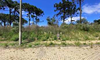 Imagem 7: CAXIAS DO SUL - Terreno Padrão - Século XX