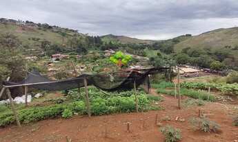Imagem 4: Lote para venda com 1300 metros quadrados em Simão Pereira - MG