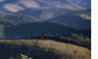 Imagem 7: Lote/Terreno para venda 239/685 metros e sítios 2000 a 2644 metros PARADISIACOS em Teresóp