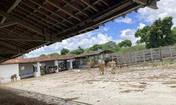 Imagem 2: Vendo Fazenda 66 hectares pronta