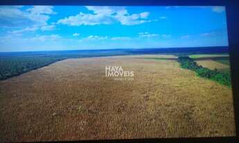 Imagem 4: Fazenda à venda, Rural, Presidente Kennedy, ES
