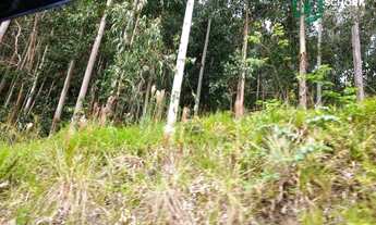 Imagem 5: Sítio à venda, 264.666 m² por R$ 220.000