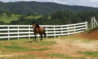 Imagem: SÍTIO EM RATONES COM 77.000 M2 DE TRANQUILIDADE!