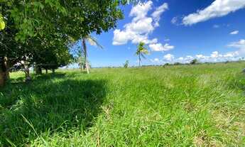 Imagem 3: Fazenda em Tabuleiro de Vitória, 400 tarefas de terra a 110km de Salvador