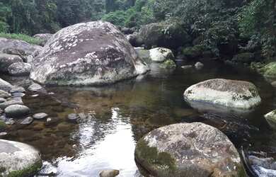 Imagem 5: VENDE-SE SITIO SÃO ROQUE PARATY RJ. COM 8.000 M²