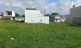 Imagem: Terreno plano à venda no Parque do Museu