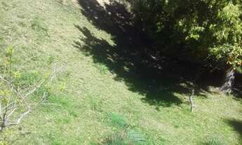 Imagem 3: CAXIAS DO SUL - Terreno Padrão - Vila Verde