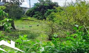 Imagem 7: Excelente Sítio Urbano em Gravatá de 1.5 hectare