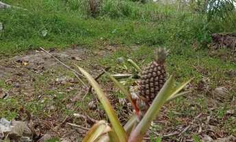 Imagem 3: SITIO RESIDENCIAL em Mata de São João - BA, Núcleo JK