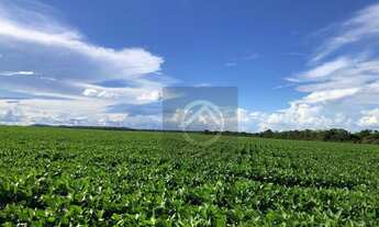 Imagem 2: Fazenda à venda, 8203800 m² por R$ 55.000.000,00 - Centro - Querência do Norte/PR