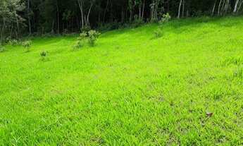 Imagem 4: Sítio 5 alqueires com Rio no final do Sítio (Willian Ricardo