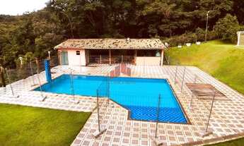 Imagem 7: Esmeraldas - Sítio - Ipe Amarelo