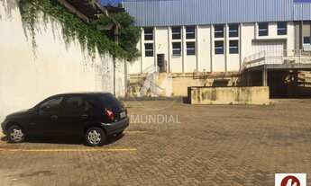 Imagem 3: Salão/Galpão (salão - térreo