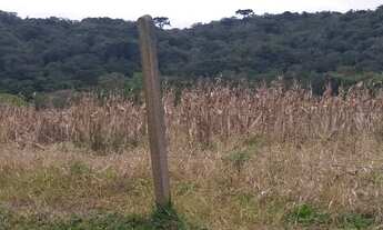 Imagem 6: Excelente Chacara sem benfeitorias com 9.500 m2 lavras 330.000