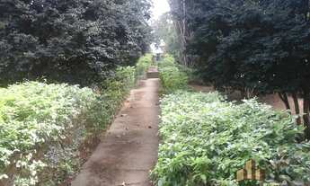 Imagem 4: Terreno em rua - Centro