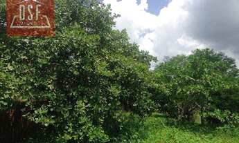 Imagem 4: Terreno residencial à venda, Novo Parque Iracema, Maranguape