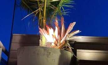 Imagem 7: Cobertura com 4 dormitórios à venda por R$ 6.500.000,00 - Barra da Tijuca - Rio de Janeiro